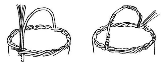 Pajukorin sangan punominen, mallikuva